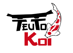 TeutoKoi-Logo